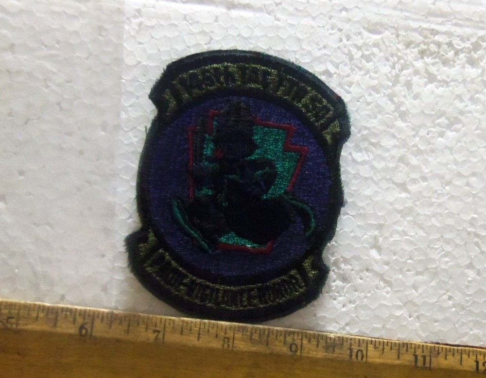 US Air Force – 146th Tactical Fighter Squadron Embroidered Patch