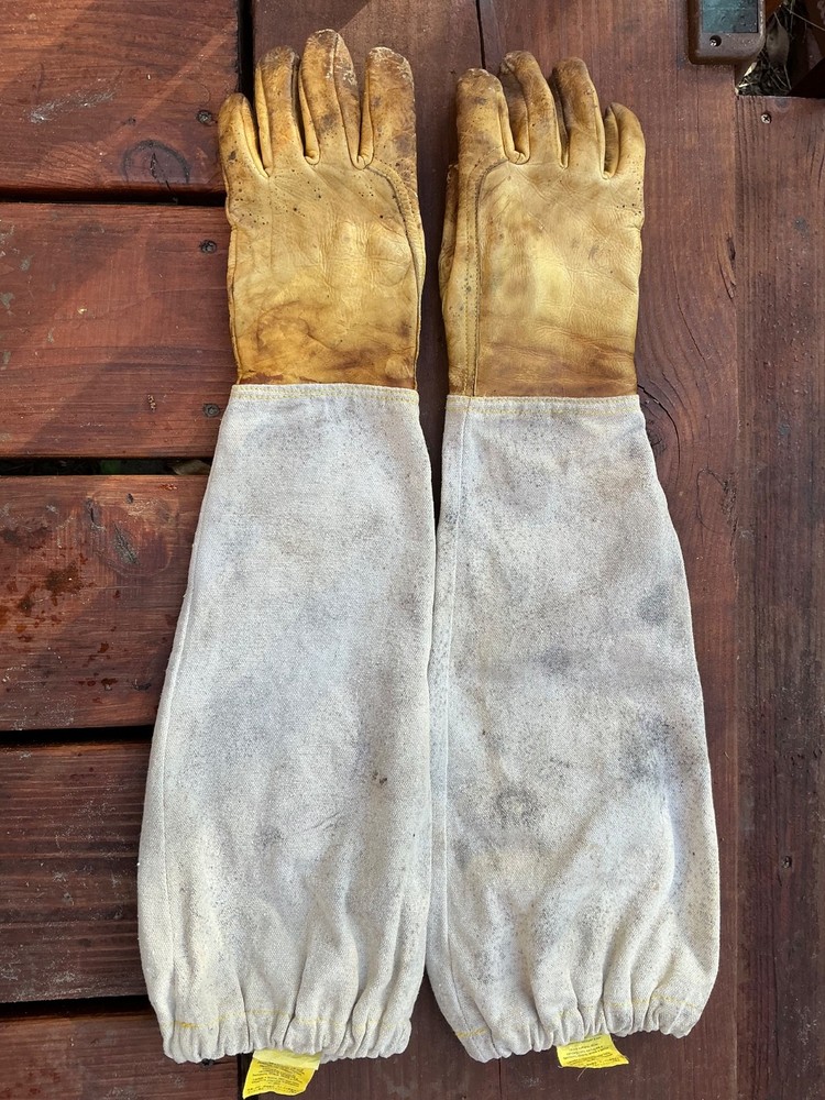 HUMBLE BEE, USED BEEKEEPERS GLOVES