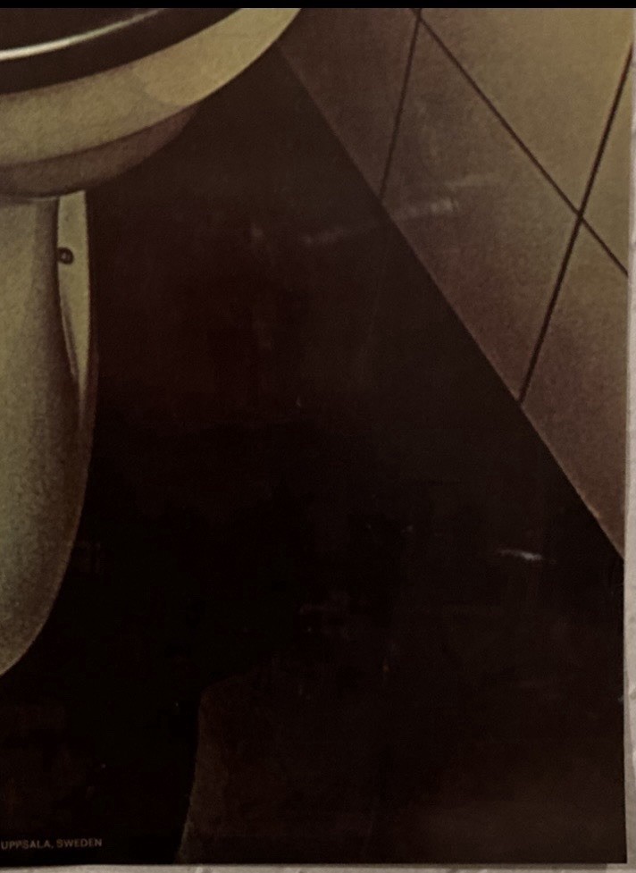 Flushed 1971 Poster Scandecor Uppsala Sweden