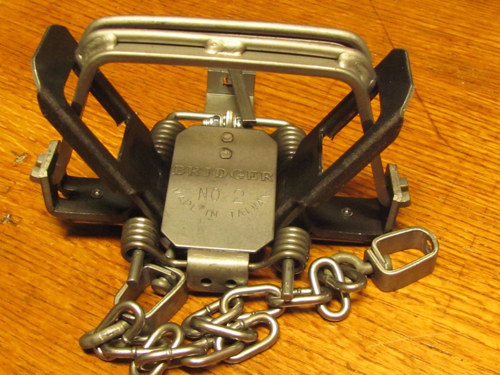 4 - Bridger #2 coil spring offset jaw modified four coiled traps coyote bobcat