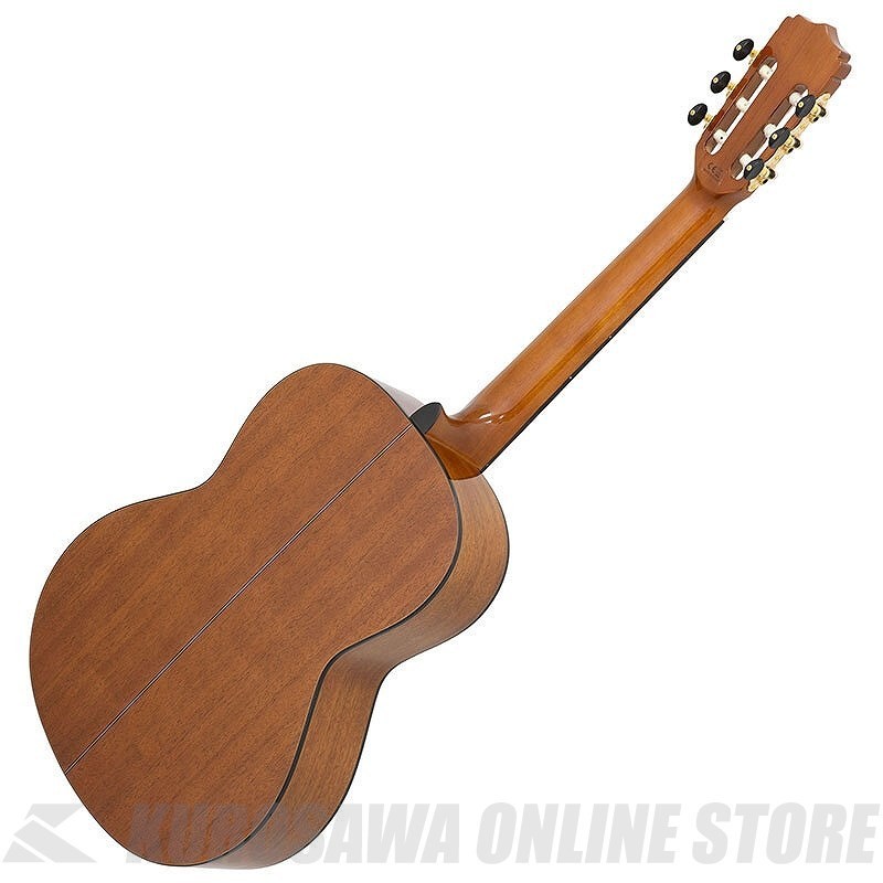 ARIA A-20S Classical Guitar Solid Spruce Top Sapelli Back & Sides Natural