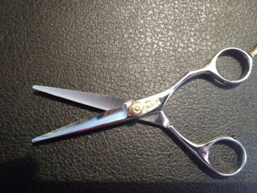 New Eickert Arius 5.5" shears