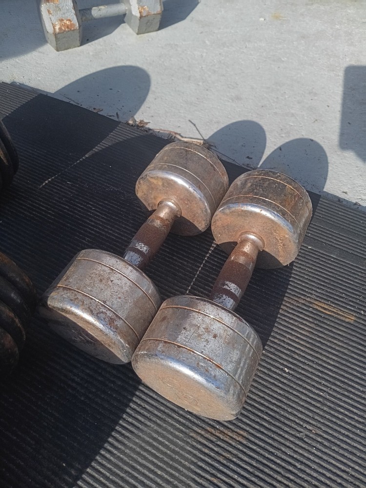 Chrome Dumbbell Set 30 Pounds