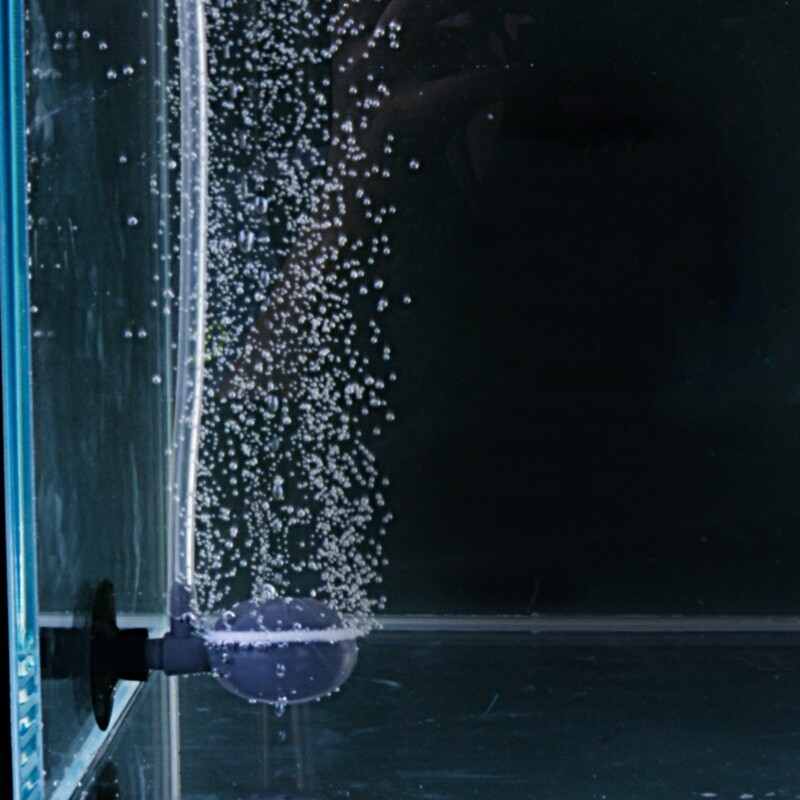 Air Stone Disc Bubble Diffuser for Bubbler Disk with Suction Cup for Aquari