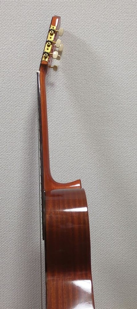 Aria AC25 Classical Guitar Practice Concert with Soft Case