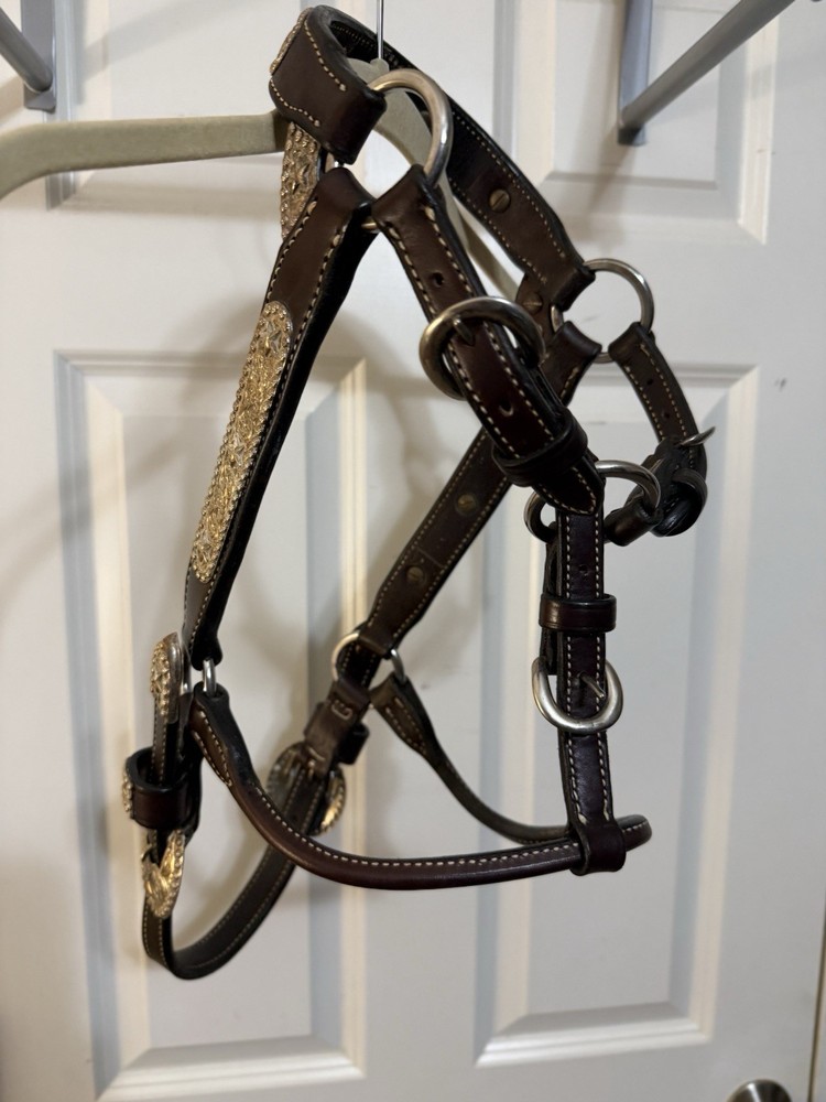 Harris Leather & Silverworks Custom Halter