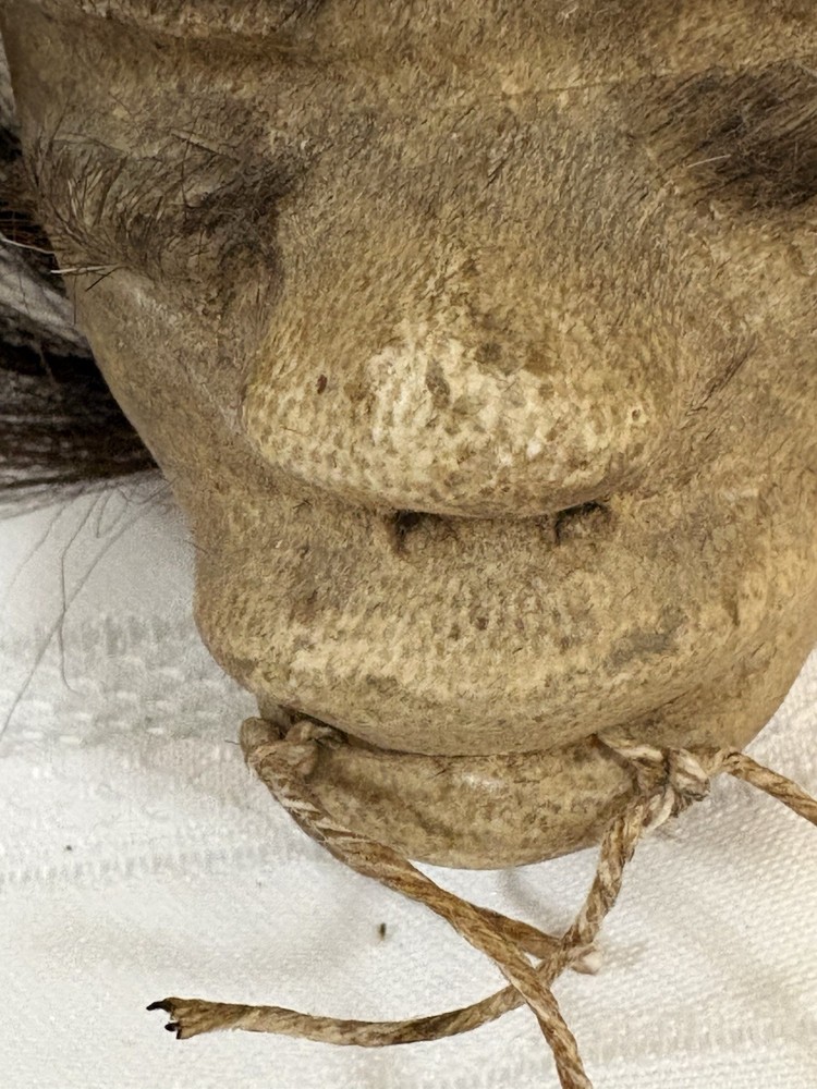 DARK HAIRED WITH CHONTA SPINES MODEL JIVARO SHRUNKEN HEAD-Tsantsa