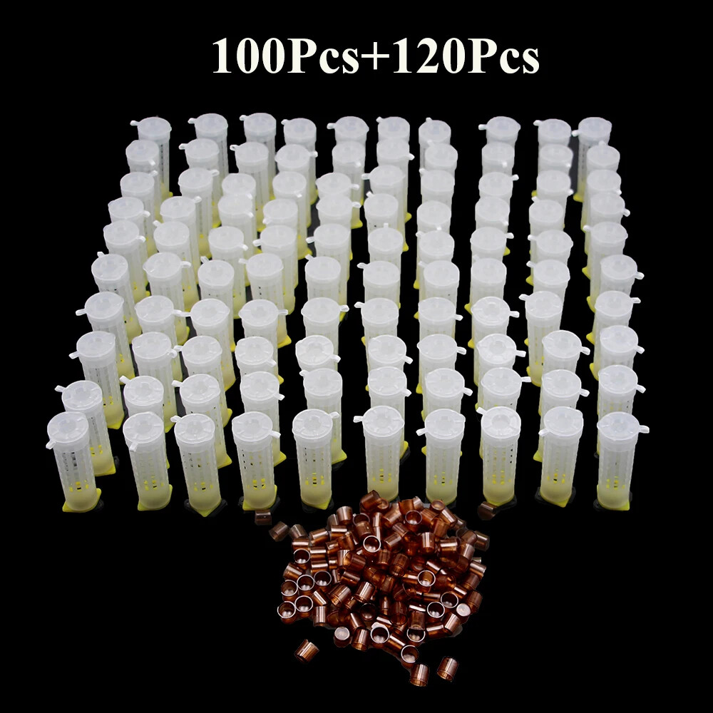1SET Beekeeping Queen Rearing System Plastic Bee Protection Cover Protective