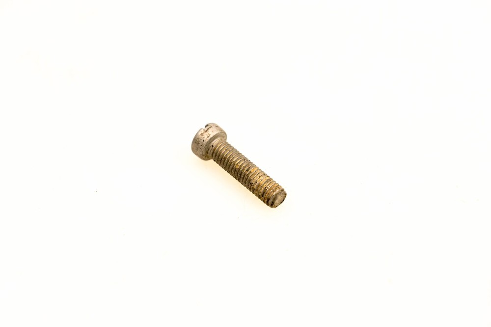 OMC 303951 Screw NOS