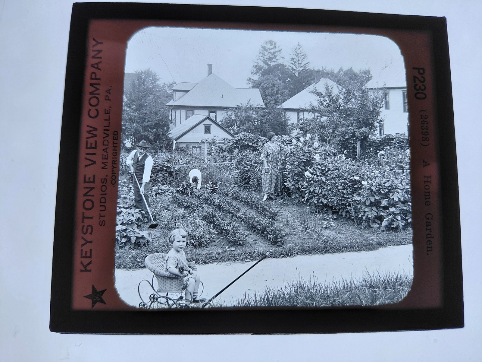 Magic Lantern Glass Slide Photo Keystone  P230 An American Home Garden