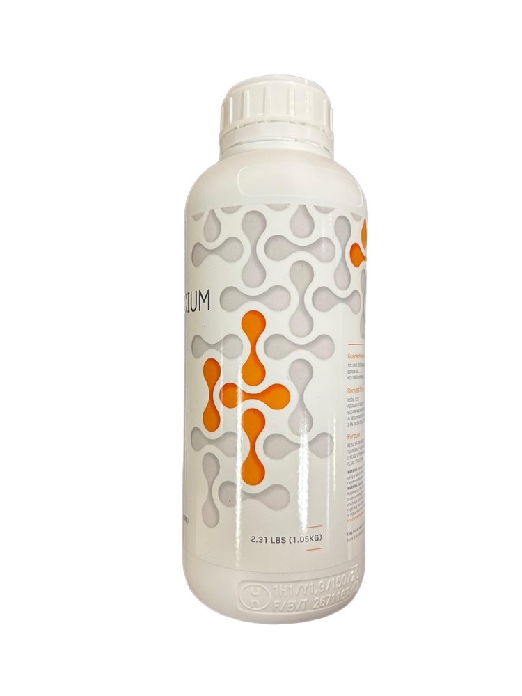 Silicium 1L