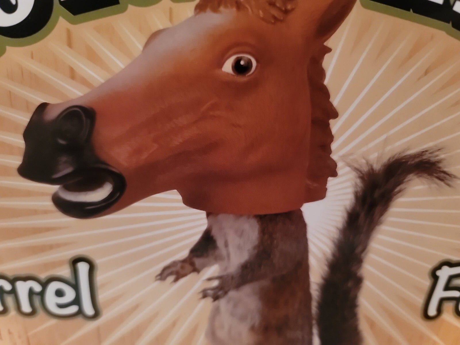 Squirrel Feeder NIB Horse Head Archie McPhee Accoutrements Big Head Animal