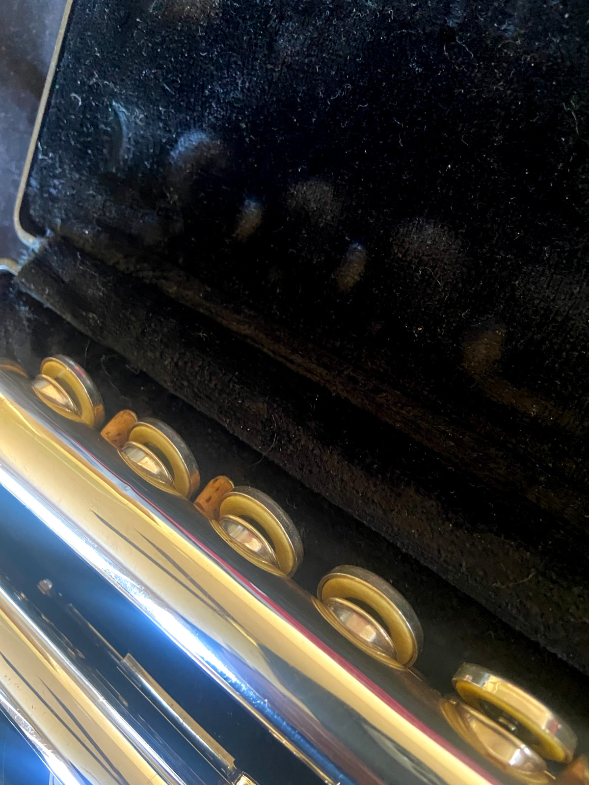 Gemeinhardt 2SP OVERHAULED FLUTE OFFSET G, C FOOT VIDEO DEMO