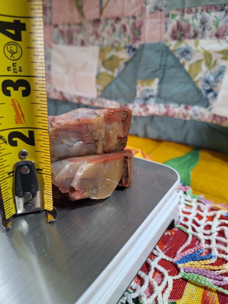 Petrified Wood