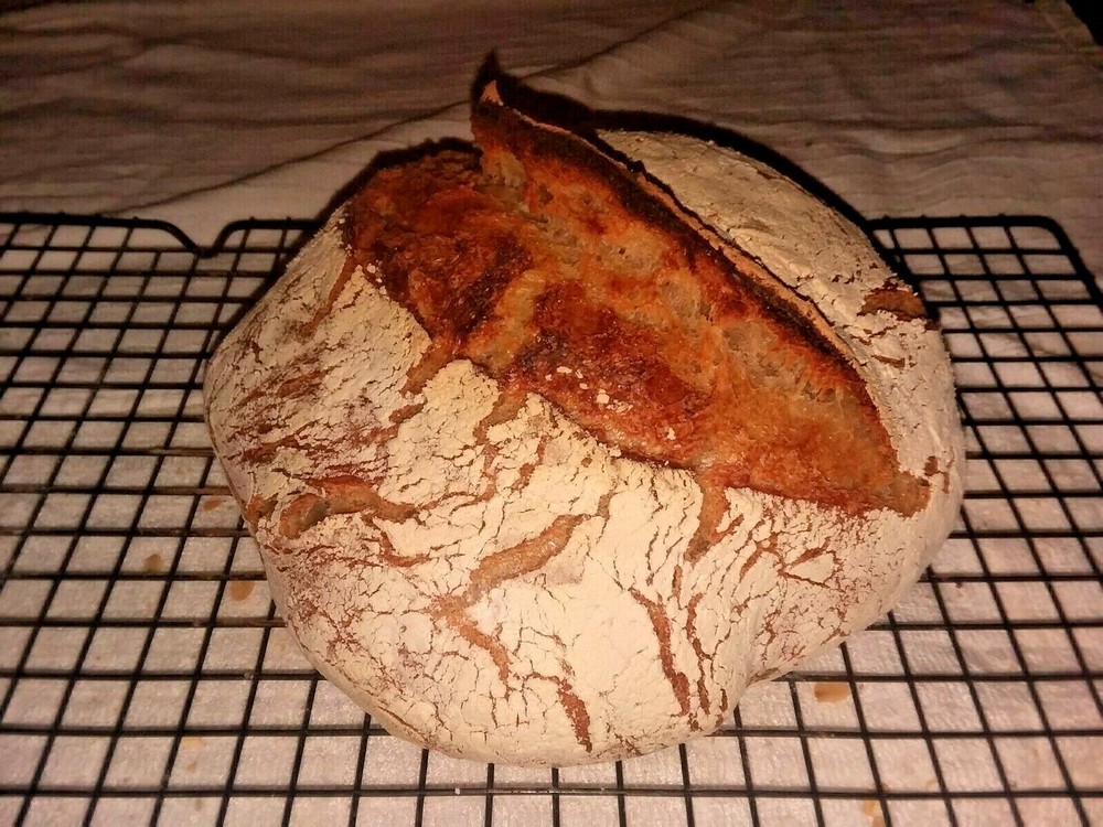 SourDough Starter - Fresh Bread in 24 Hours! Yeah, its that good.
