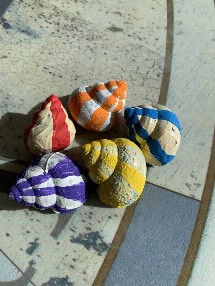 5 Hand Painted Shells For Crafting