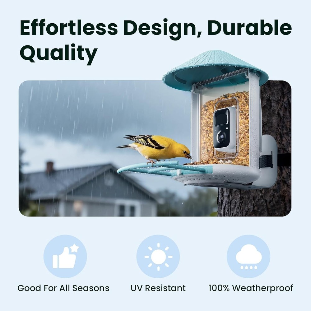 Wireless AI Bird Feeder with Night Vision