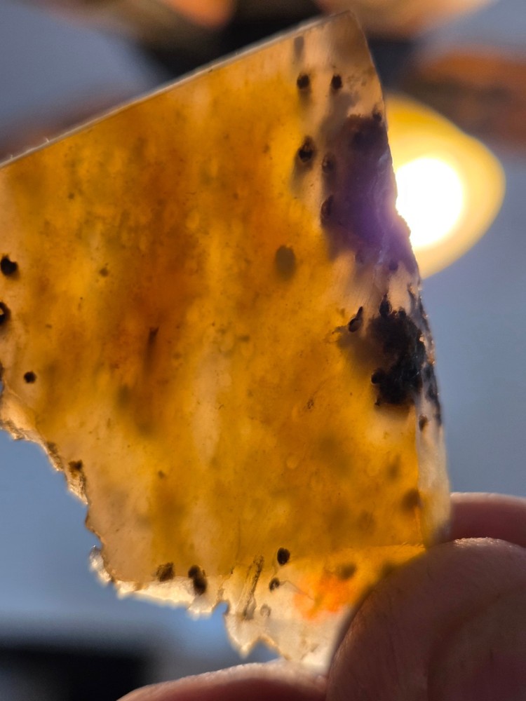 Agatized Palm Slab