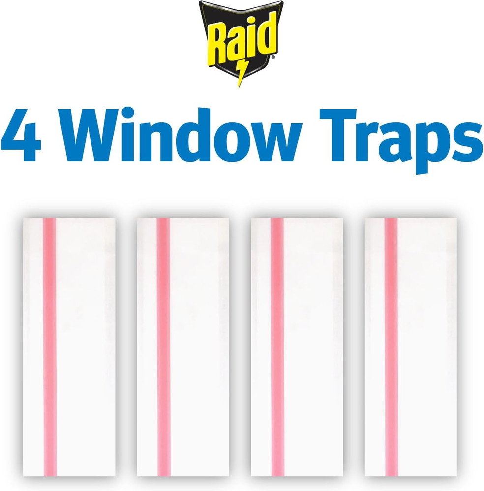 Window Fly Trap, 4 Count (12-Pack)