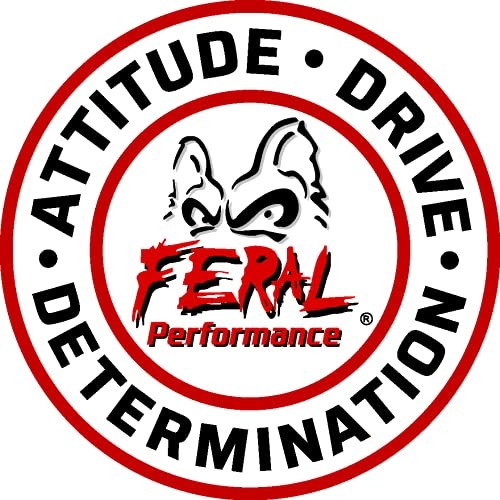 Draw Bar Hitch () 2" X 9"