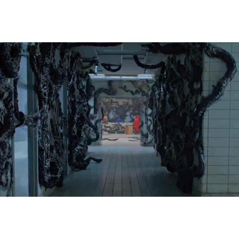 Stranger Things Season 5 Upside Down Screen Used Large Vecna Vine Squid