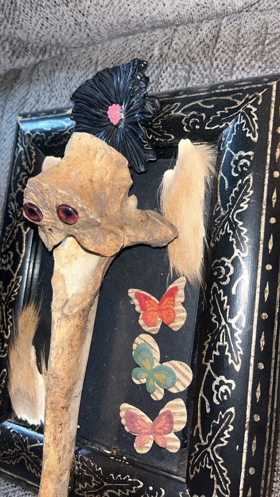 Cow Creature Vertebrae Bone Oddity OOAK Sideshow Gaff