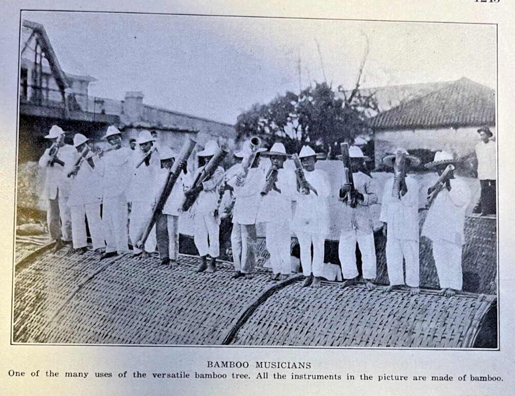 1913 Philippine Forests illustrated