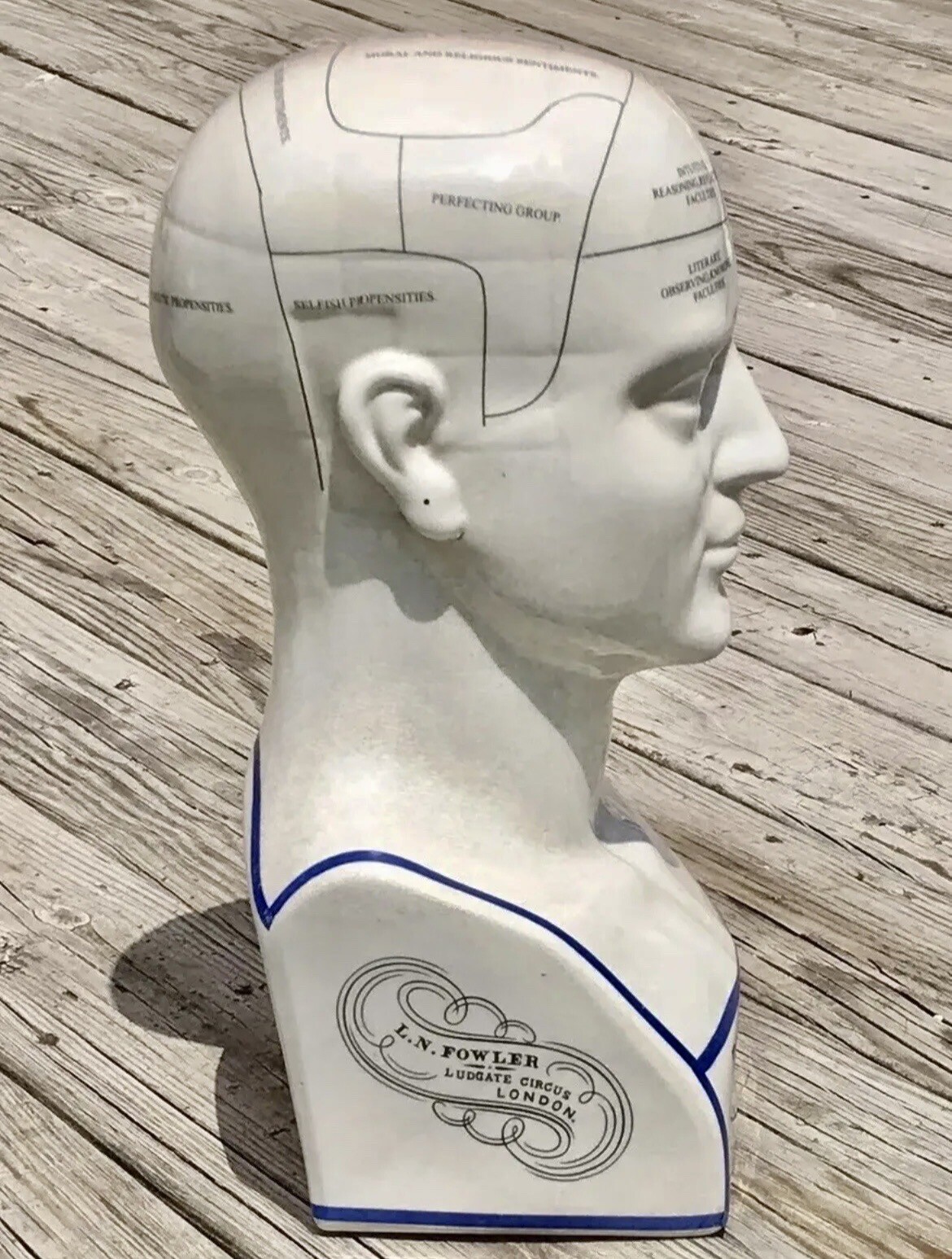 Porcelain L.N. Fowler Phrenology Scientific Psychology 17” Large Bust Head