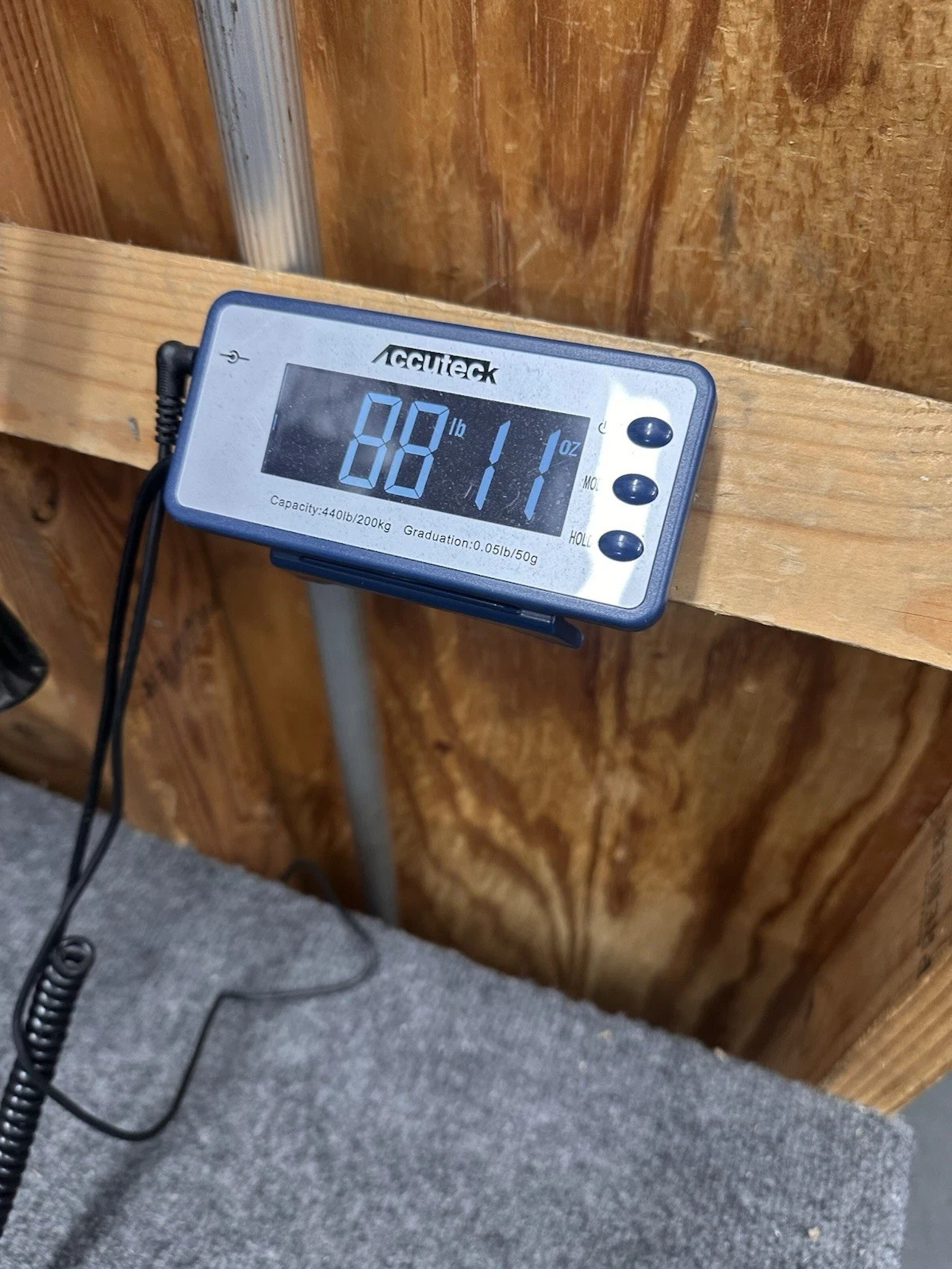 Ernst Leitz Wetzlar 447089 447364 Toolmaker's Microscope Geo Scherr