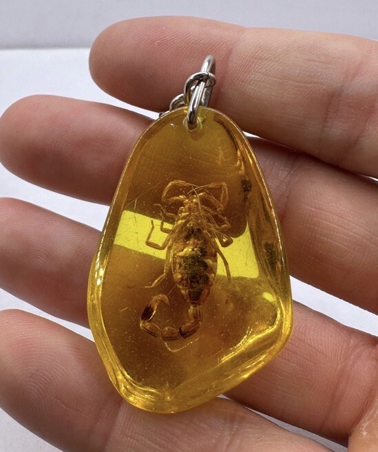 Scorpion Amber Keychain, Scorpion Keychain, Unique Keychain, Arizona Gift