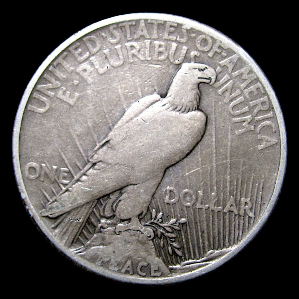 1921 Peace Dollar Silver ---- Nice Coin ---- #667V