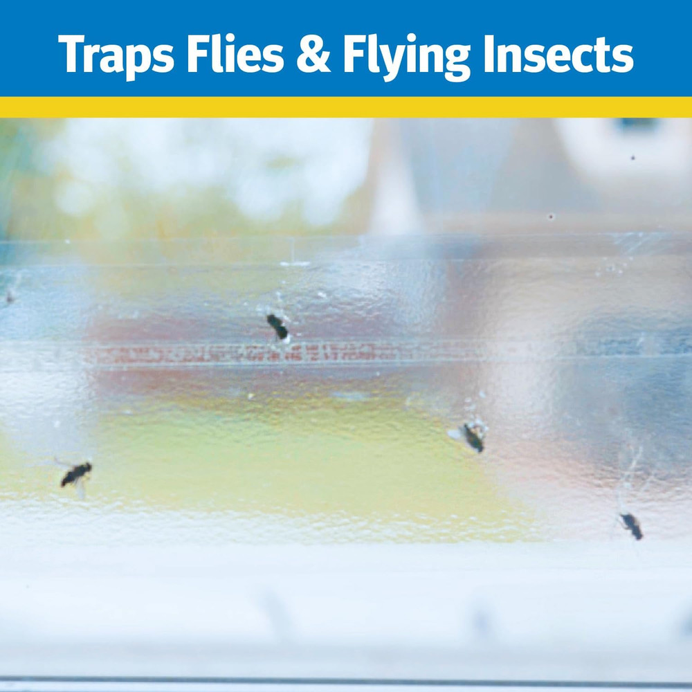 Window Fly Trap, 4 Count (12-Pack)