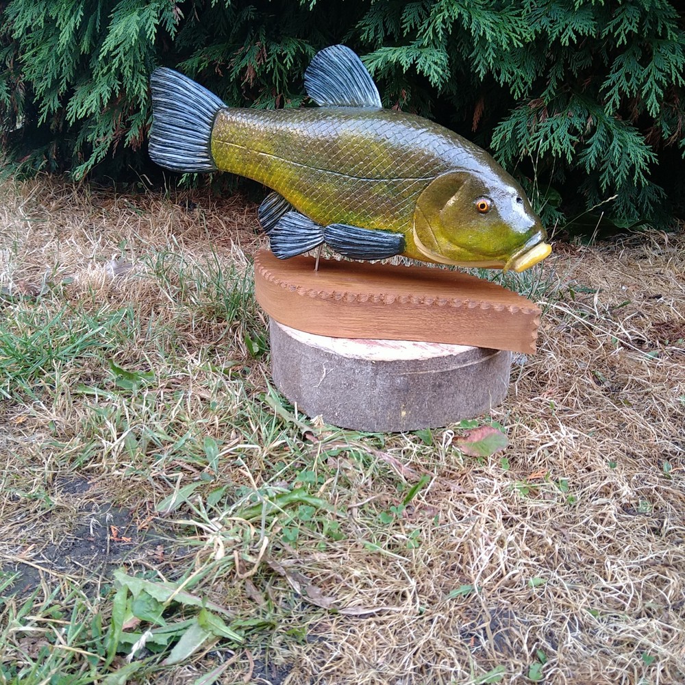 Tench Fishing , fish