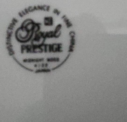 Midnight Mood by Royal Prestige 4 Pc. Place Setting. Silver Trim