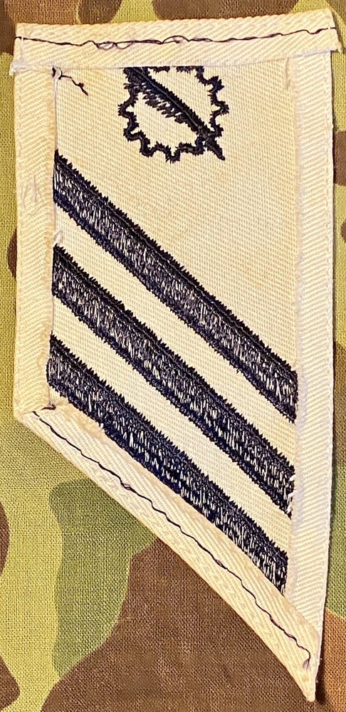 US Navy Rate Data Processing Technician Seaman E-3 Striker rank Patch USN DPSN