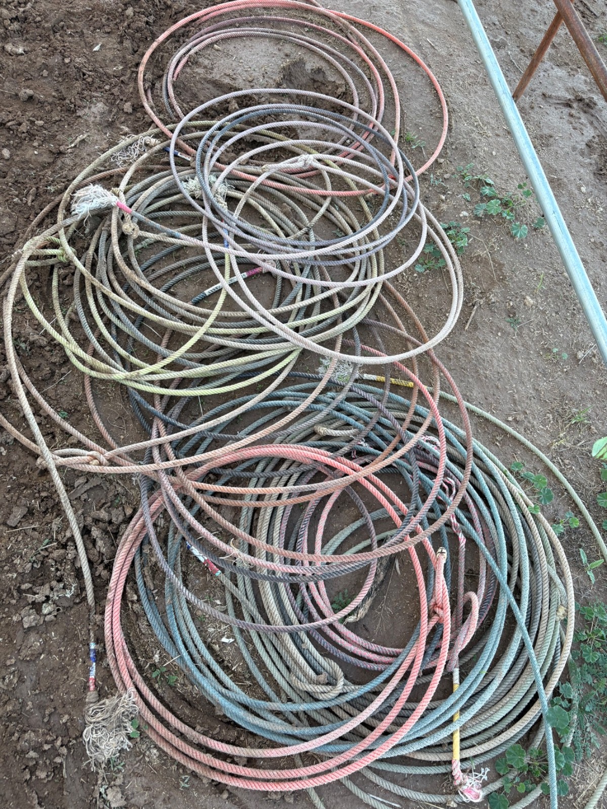 Used Lariat Team Ropes. Assorted colors and brands.