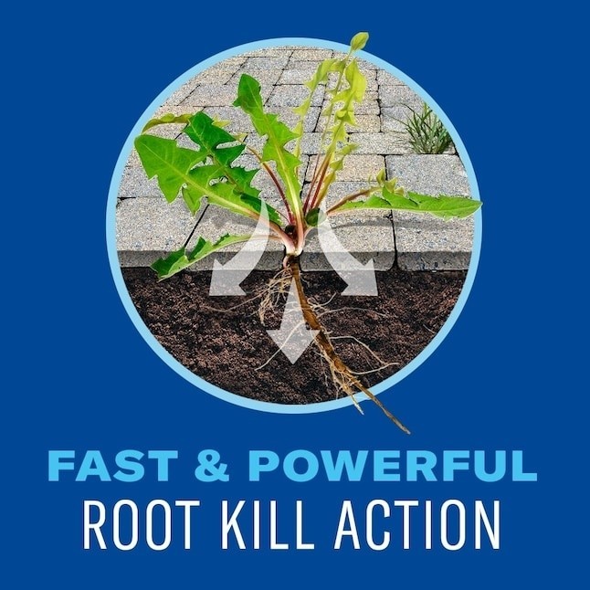 WEED AND GRASS KILLER - BIOADVANCED - 1 GALLON - TRIGGER SPRAY - KILLS THE ROOT