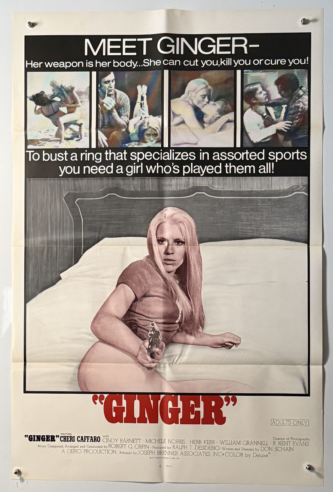Super Sexy X-RATED Cheri Caffaro "GINGER" Original 1sh Adult Movie Poster