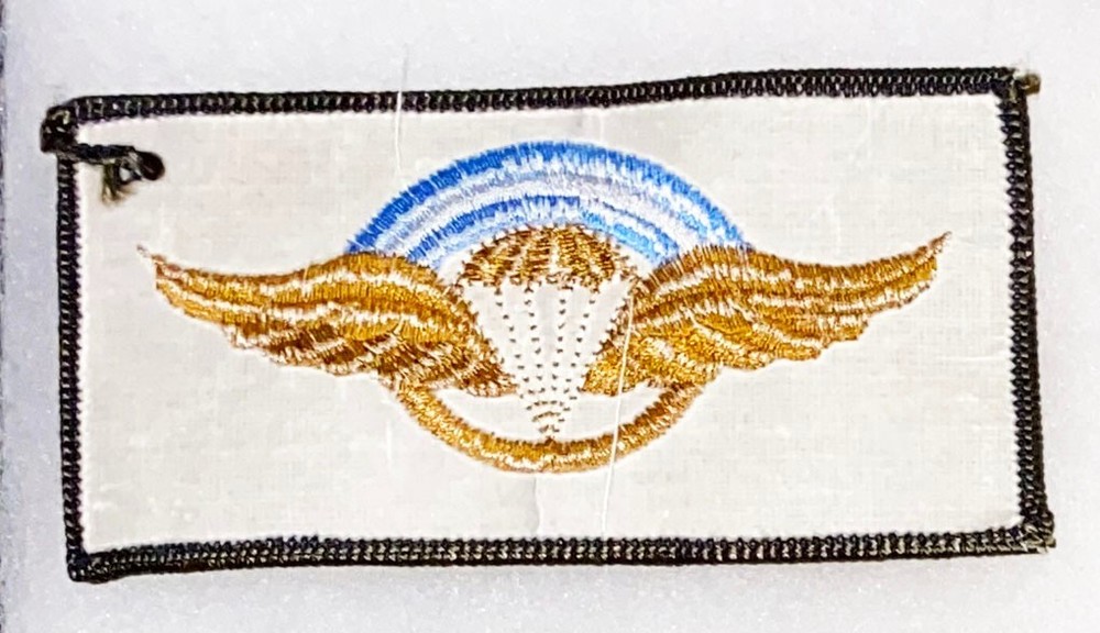 Argentina Para Airborne Wing Badge / Patch