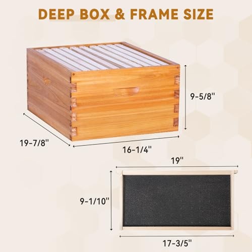 10 Frame Bee Hive,Beeswax Coated Beehive Kit for Bee Keeper,Complete 2-Layer