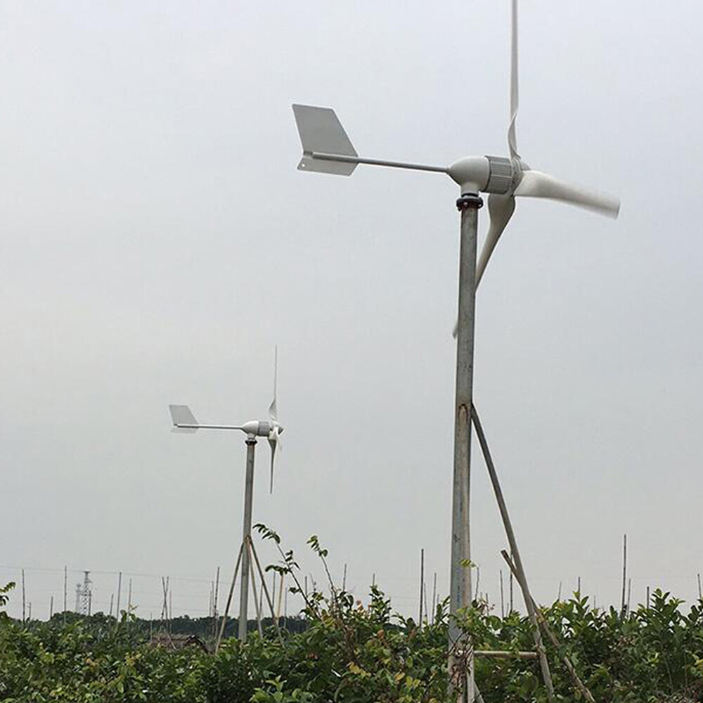 2000W 24V 48V Wind Turbine 3 Blades Windmill Wind Generator & MPPT Controller