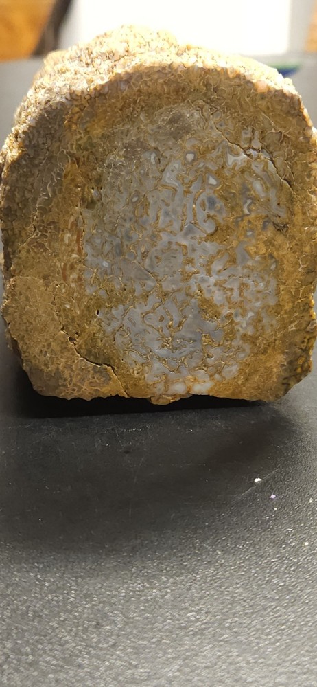 Colorado Gem Bone