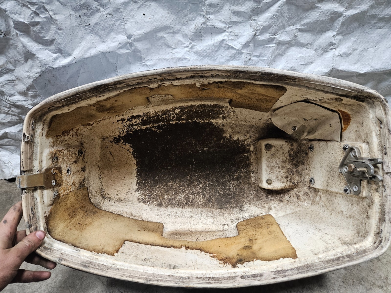 OEM Evinrude 25hp Johnson Top Cowling Hood Cowl Cover White Blue Red Decals