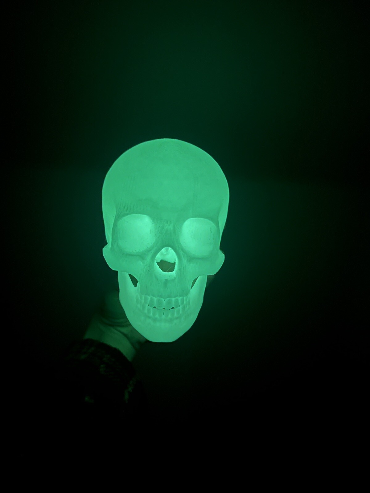 Glow In the Dark Human Skull! (Good Quality:3DP:White-PLA) GREEN OR BLUE GLOW!