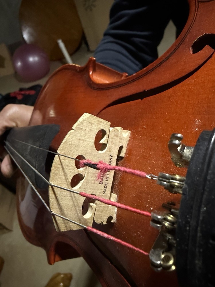 Violin with case and bow