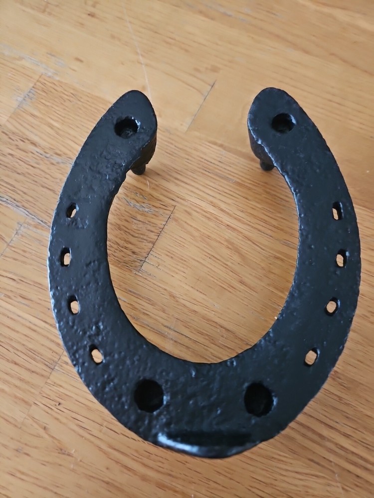 Black Decorative Horse shoes