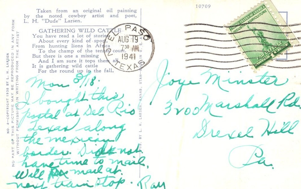 GATHERING WILD CATTLE - PC2633