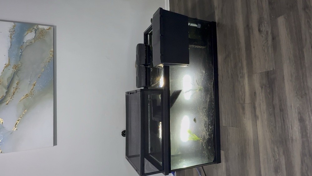 🐢 Full 75-Gallon Turtle Tank Setup – Everything Included – $450 OBO