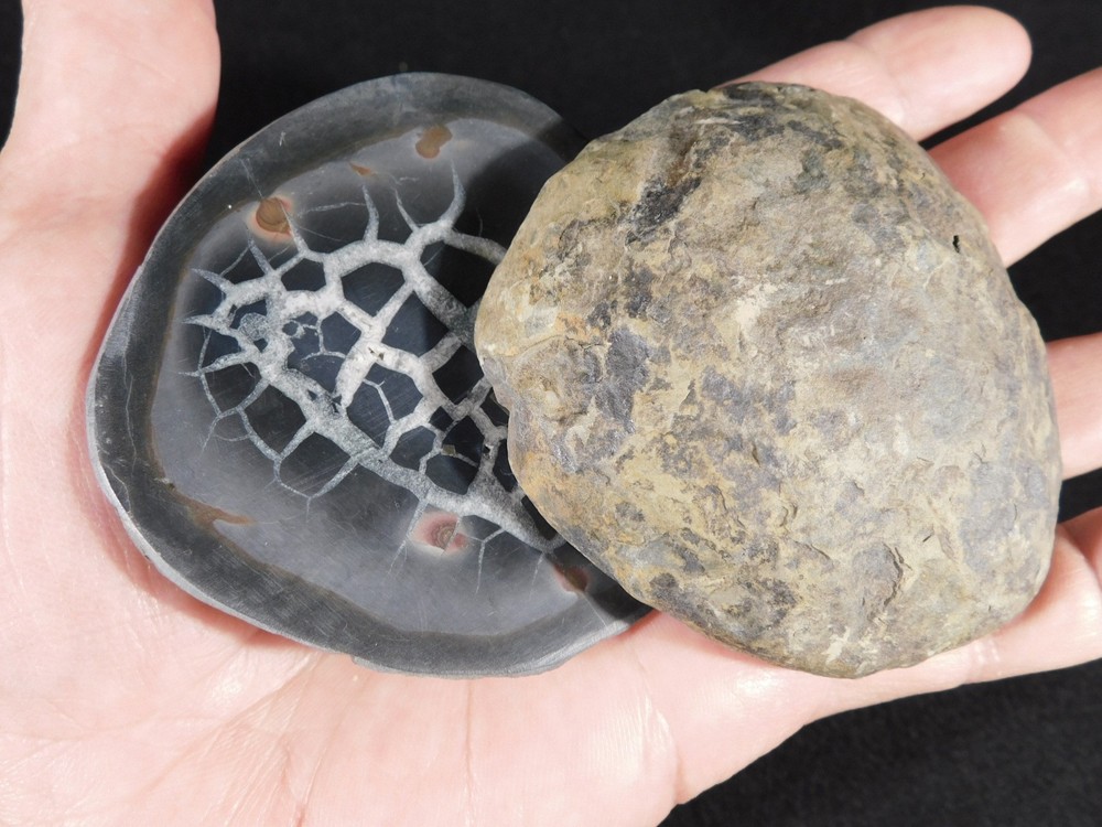 Neat! Lighting Like Pattern! Split and Polished SEPTARIAN Nodule Morocco 368gr