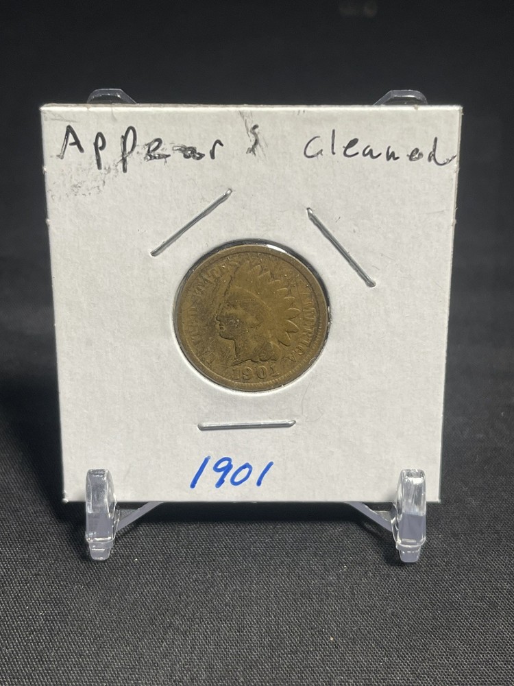 1901 P Indian Head Cent / Penny (Appears Cleaned)
